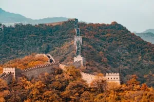 励齿
